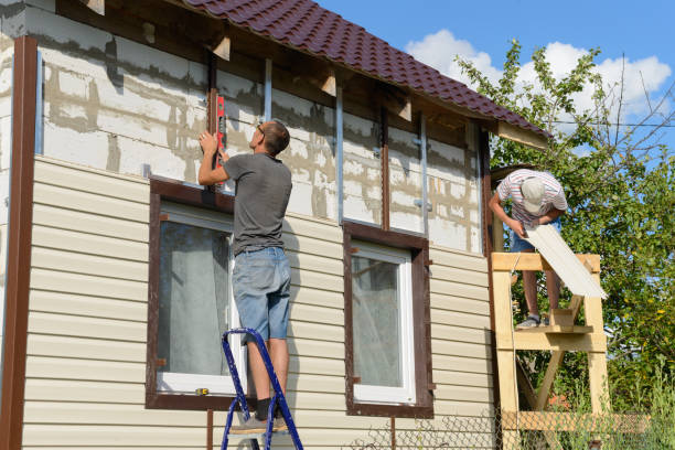 Best Custom Trim and Detailing for Siding  in Louisa, VA