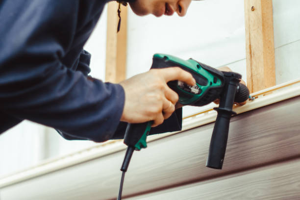 Best Siding Painting and Refinishing  in Louisa, VA